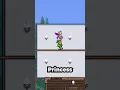 All Master Mode Pets In Terraria