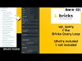 Bricks Builder WP - Query