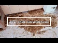 Download Lagu HEBOH...! JUTAAN LARON KELUAR SARANG