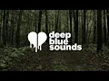 forest blakk - fall into me (lyrics)