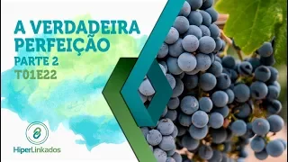 HIPERLINKADOS - T01E22 - A Verdadeira Perfeição - parte 2