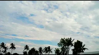                                                                                      دندنها