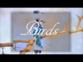 Xad - Birds