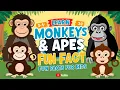 Lagu Monkey Facts for Kids | Animals For Kids | Monkeys and Apes for Kids | Meet Primates |  Fun Facts