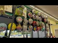 Dollar Tree Balloons Shop with me