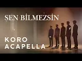 Sen Bilmezsin – Dedublüman | Koro A Cappella Cover