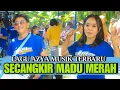 Download Lagu SECANGKIR MADU MERAH AZYA MUSIK