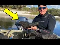 Florida Diver Thought He Found an Old Tree Trunk Turns Pale When Experts Reveal What It Is