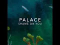 Shame On You - Palace