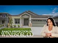 Main-Level Living Done Right Stunning Ranch Home for Sale in Windsor CO