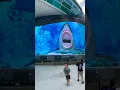 Download Lagu Sea creatures attack at the Port of #Nassau #Bahamas ! PART 1 #shark