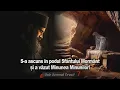Download Lagu S-a ascuns in podul Sfantului Mormant si a vazut cu ochii lui, Minunea Minunilor!