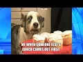 Thank GIF It s Friday Life in a Nutshell