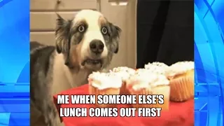 Thank GIF It s Friday Life in a Nutshell