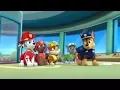 Download Lagu PAW Patrol Pup Pup Boogie/Pups in a Fog Part 5 - PAW Patrol FULL HD
