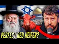 Download Lagu They Finally Selected A Red Heifer... What's New?