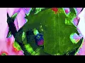 Joe Hawley - Since I Don't Have You ((AUDIO))
