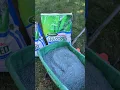 scotts grass seed sun and shade Get The Best Lawn Around