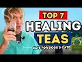 7 Healing Teas for Dogs and Cats That Actually Work