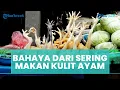 Lagu Bahaya Konsumsi Kepala hingga Kulit Ayam Bagi Kesahatan Tubuh