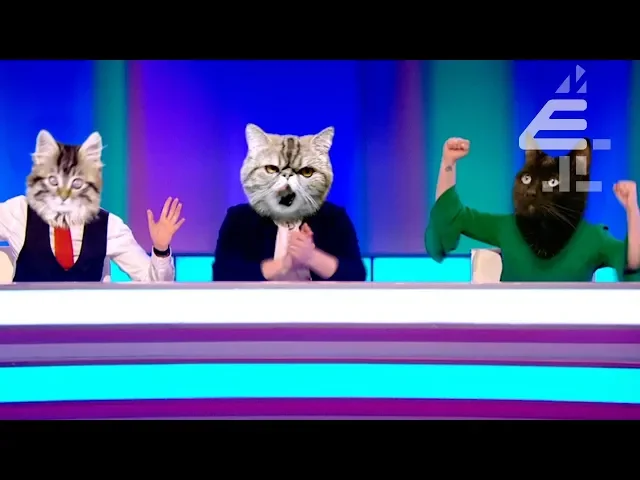 TRAILER | Brand New Series of 8 Out of 10 Cats - Starting 24th March!