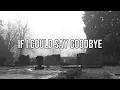 Chris Stapleton - Wish I Could Say Goodbye (2026 Official Video) | Country Song For Grief and Loss