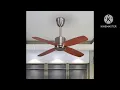 Only Fans