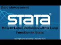 3 How to Label Many Variables Simultaneously with a Loop Function in Stata