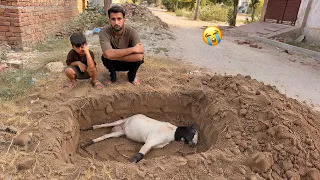 Hmara Bakra Hamen Chor K Chala Gea💔
