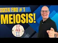2024 AP Bio FRQ 1 Explained Meiosis