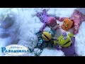 Download Lagu SONG: The Night Sky 🎶 | Pajanimals