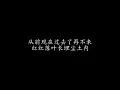 一生所爱 卢冠廷 (歌词版)