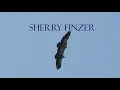 Healing and Soothing Native American-style Flute Music | Veil of the Unknown | Sherry Finzer