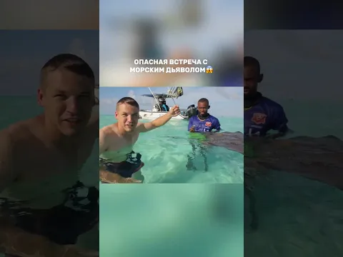 Кирилл Макашов целуется с электрическим скатом😱 #орелирешка