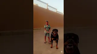 وشوش مفبركه دندنها