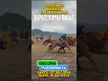 Download Lagu final Pacuan kuda Bupati Sumba Barat Cup 2024, Sabtu 27 Juli 2024