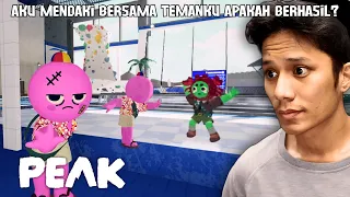 APAKAH AKU DAN TEMANKU BISA MENCAPAI PUNCAK? Peak