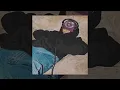 Alex g treehouse (432hz)