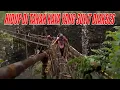Download Lagu HIDUP DI TANAH KAYA YANG SULIT DIAKSES | INDONESIAKU (21/06/21)