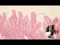Histology of the small intestine