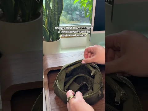 Mom Pouch
