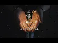 林子祥 - 知己『原沒有愛你這種福氣』【動態歌詞Lyrics】