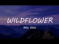 Billie Eilish - WILDFLOWER (Lyrics)