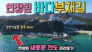 강릉 정동진 정동심곡 바다부채길 새로운 잔도 국내여행지 차박캠핑, 천연기념물 최장 해안단구 왕복 6km, 편안한 동해안 차박지 금진항 심곡 드라이브길 헌화로 심곡항 썸네일