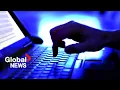 As tech industry layoffs mount who is impacted