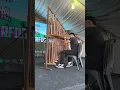 Download Lagu RIMBA X FEST - ANGKLUNG