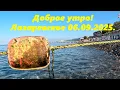 Download Lagu Доброе утро! Лазаревское 06.092025🌴ЛАЗАРЕВСКОЕ СЕГОДНЯ🌴СОЧИ.