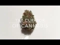 Strain Review - Platinum OG Humboldt Seed Organization