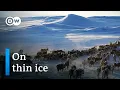 Lagu Melting mountains - Rising temperatures in Lapland | DW Documentary