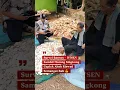 Download Lagu Survei DTSEN Penerima Bansos: Bah Riswad Terus Semangat Motong Singkong Gaplek | #shorts